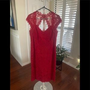 Beautiful Tadashi Shoji Dress